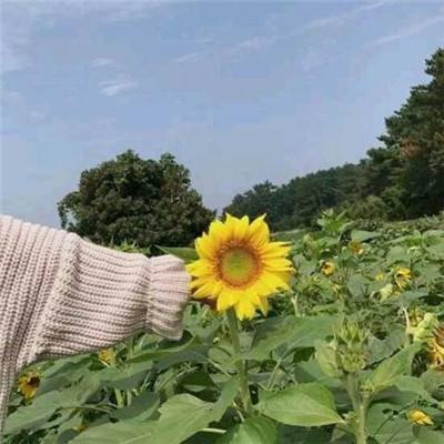 爆烈英雄游戏下载