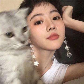 极品芝麻官搜狗版下载